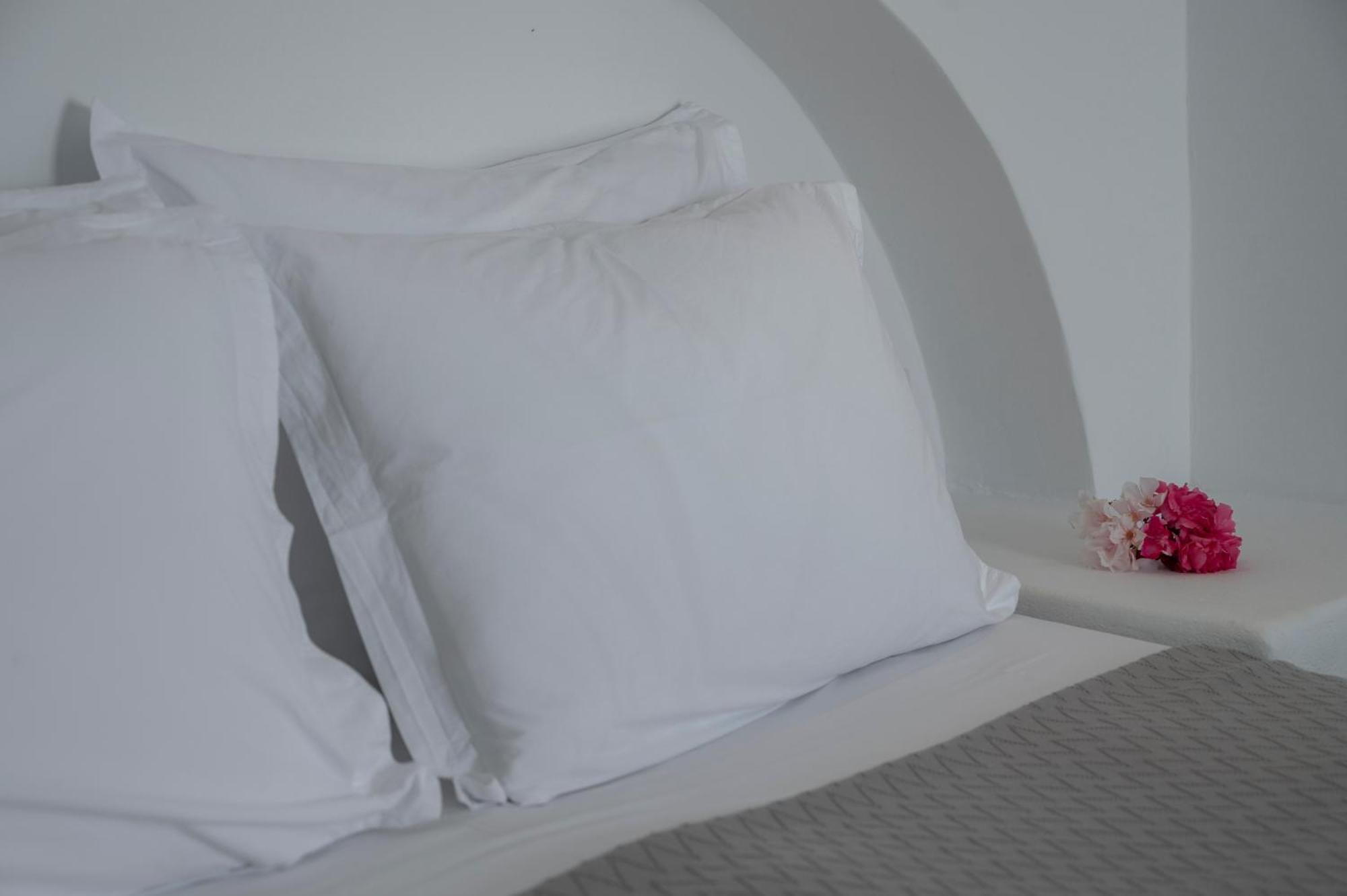 Aegean Dream Apartments Tínos Kültér fotó